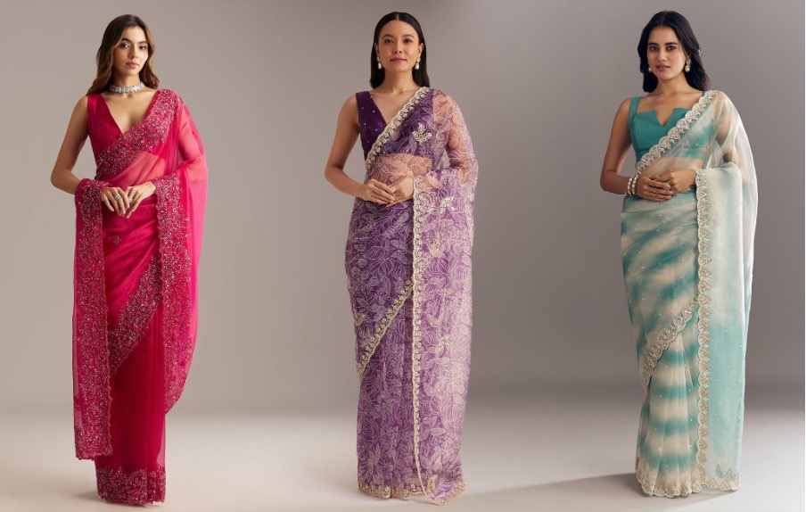 Organza Saree Trends for Women